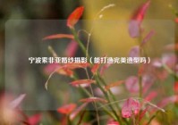 宁波索非亚婚纱摄影（能打造完美造型吗）