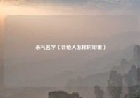 杀气名字（会给人怎样的印象）