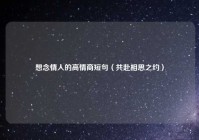 想念情人的高情商短句（共赴相思之约）