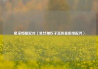 星座婚姻配对（处女和双子真的是姻缘配吗）