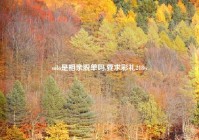 solo是相亲脱单吗,要求彩礼218w