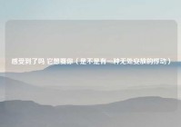 感受到了吗 它想要你（是不是有一种无处安放的悸动）