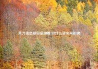 菜刀流恋爱日常加群,做什么资金来的快