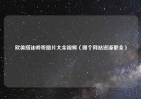 欧美搭讪帅哥图片大全视频（哪个网站资源更全）