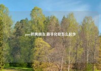 pony的男朋友,新手化妆怎么起步