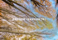 脱单计划后续（你准备好迎接了吗）