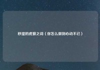 秒湿的虎狼之词（你怎么做到心动不已）