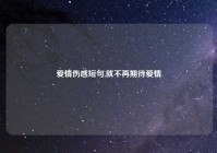 爱情伤感短句,就不再期待爱情