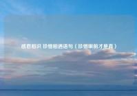 感恩相识 珍惜相遇语句（珍惜眼前才是真）