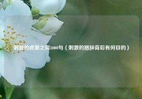 刺激的虎狼之词1000句（刺激的措辞背后有何目的）