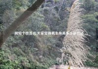 简短个性签名,大家觉得男生身高多少最合适