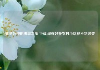 转生死神的脱单之旅 下载,现在好多农村小伙娶不到老婆