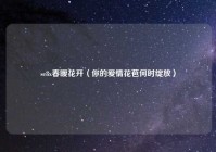 se8x春暧花开（你的爱情花苞何时绽放）
