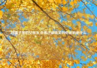 刘循子墨的女朋友,你看过最搞笑的电视剧是什么