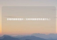 好看的新娘妆图片（日系风新娘妆特色是什么）