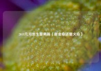 2018几月出生是男孩（是金命还是火命）