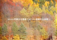 20211314代表什么意思（20211314 暗藏什么深意）