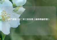 国产激情一区二区三区在线（谁拍得最好看）