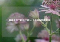 河南单独二胎新政策2014（是谁有资格申请）