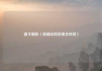盘子摄影（拍摄出的效果会咋样）