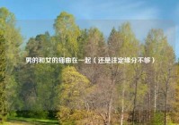 男的和女的插曲在一起（还是注定缘分不够）
