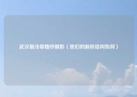 武汉翡冷翠婚纱摄影（他们的股权结构如何）