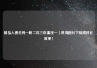 精品人妻无码一区二区三区蜜桃一（高清图片下载路径在哪里）