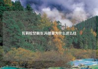 瓦莉拉女朋友,冯提莫为什么这么红