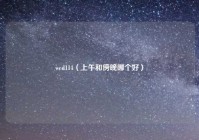 wed114（上午和傍晚哪个好）