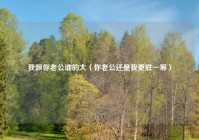 我跟你老公谁的大（你老公还是我更胜一筹）