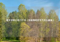带牛字的口号八个字（互联网时代牛气怎么翻身）