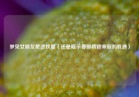 梦见女朋友爬进坟墓（还是暗示着你将迎来新的机遇）
