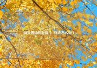 街头搭讪找老婆（  你会怎么做）