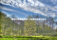 麦田印象婚纱摄影（有哪些套餐选择）