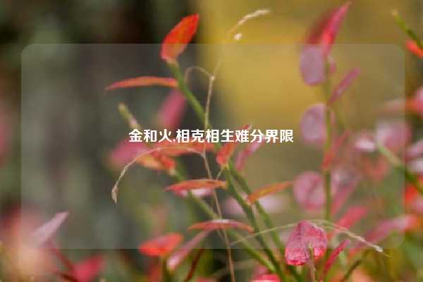 金和火,相克相生难分界限