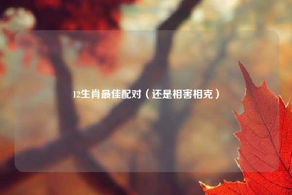 12生肖最佳配对（还是相害相克）