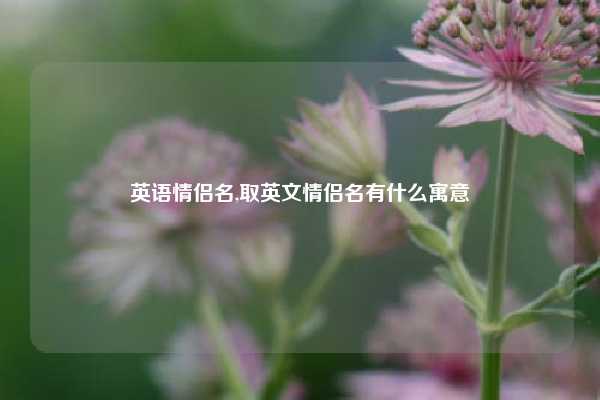 英语情侣名,取英文情侣名有什么寓意