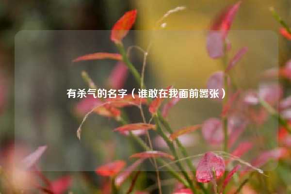 有杀气的名字（谁敢在我面前嚣张）