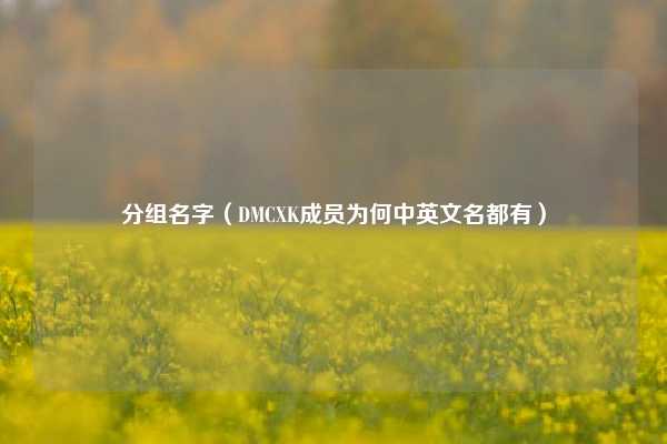 分组名字（DMCXK成员为何中英文名都有）