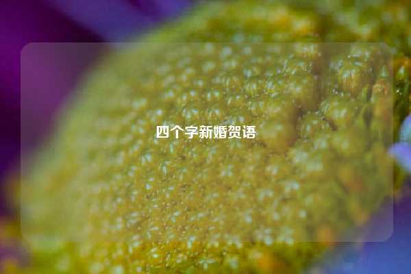 四个字新婚贺语