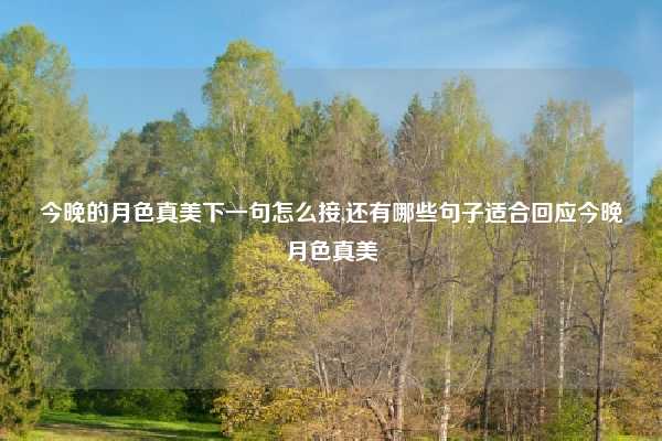 今晚的月色真美下一句怎么接,还有哪些句子适合回应今晚月色真美