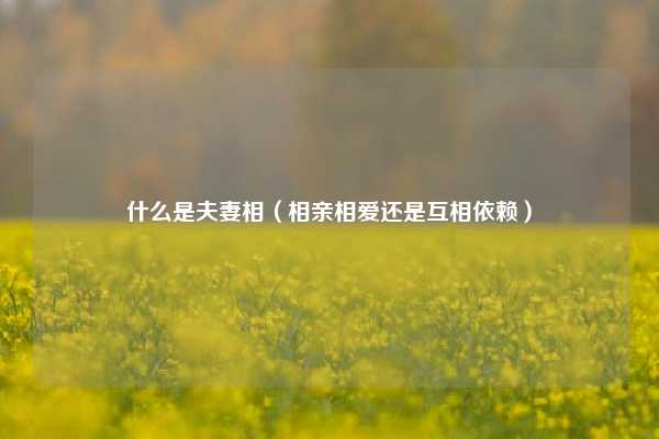 什么是夫妻相（相亲相爱还是互相依赖）