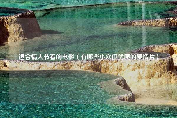 适合情人节看的电影（有哪些小众但优质的爱情片）