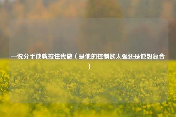 一说分手他就按住我做（是他的控制欲太强还是他想复合）