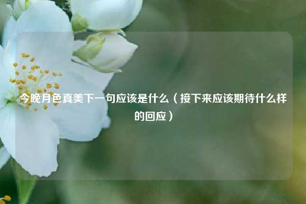 今晚月色真美下一句应该是什么（接下来应该期待什么样的回应）