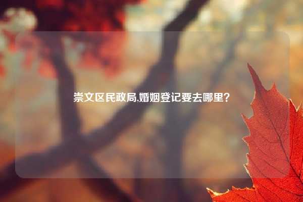 崇文区民政局,婚姻登记要去哪里？