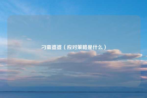 刁蛮婆婆（应对策略是什么）