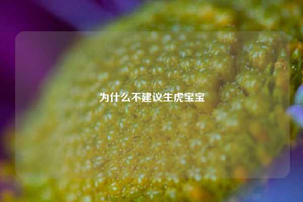 为什么不建议生虎宝宝