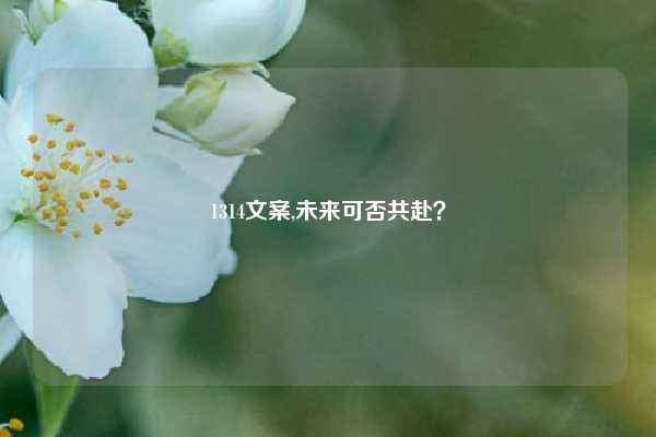 1314文案,未来可否共赴？