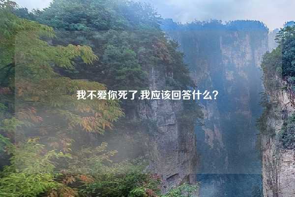 我不爱你死了,我应该回答什么?